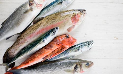6 видов рыбы, есть которые не стоит!